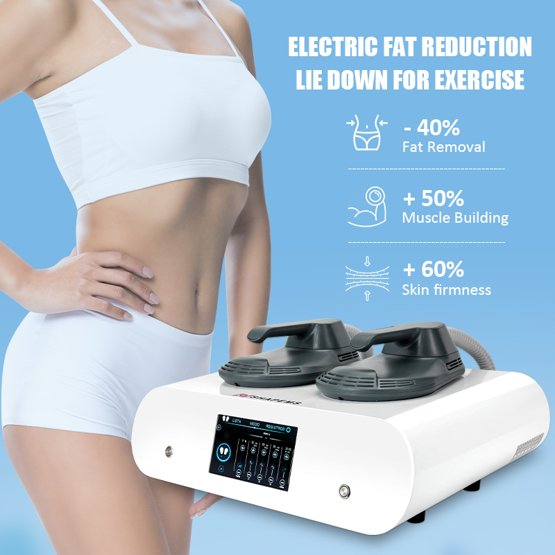 Tesla Ems Laser 2 Handles Intensity Pulsed Electromagnetic RF 5000w Muscle Stimulator