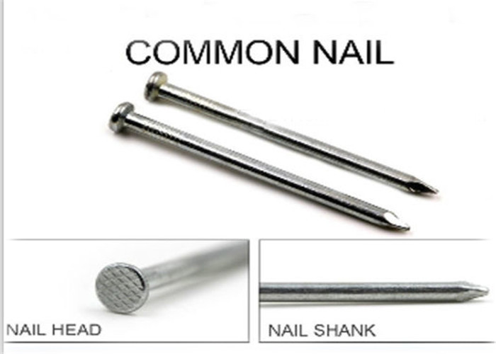 Q195 5kg Polished Construction Common Nail
