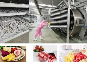 China PLC Controlled Food Vacuum Food Freeze Dryer 200kg/batch wholesale
