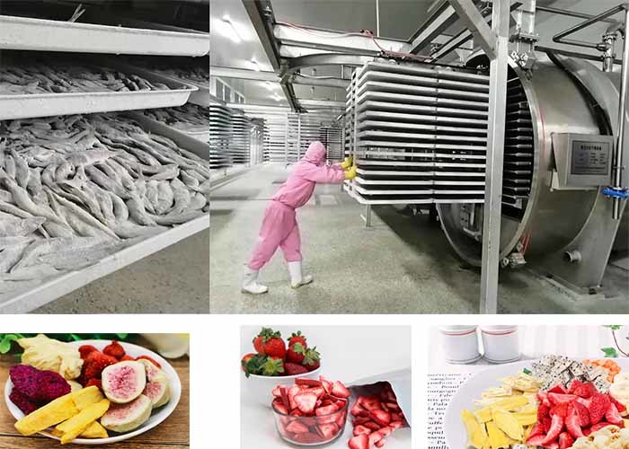 Industrial 300KG Pharmaceutical Vacuum Freeze Drying Machine