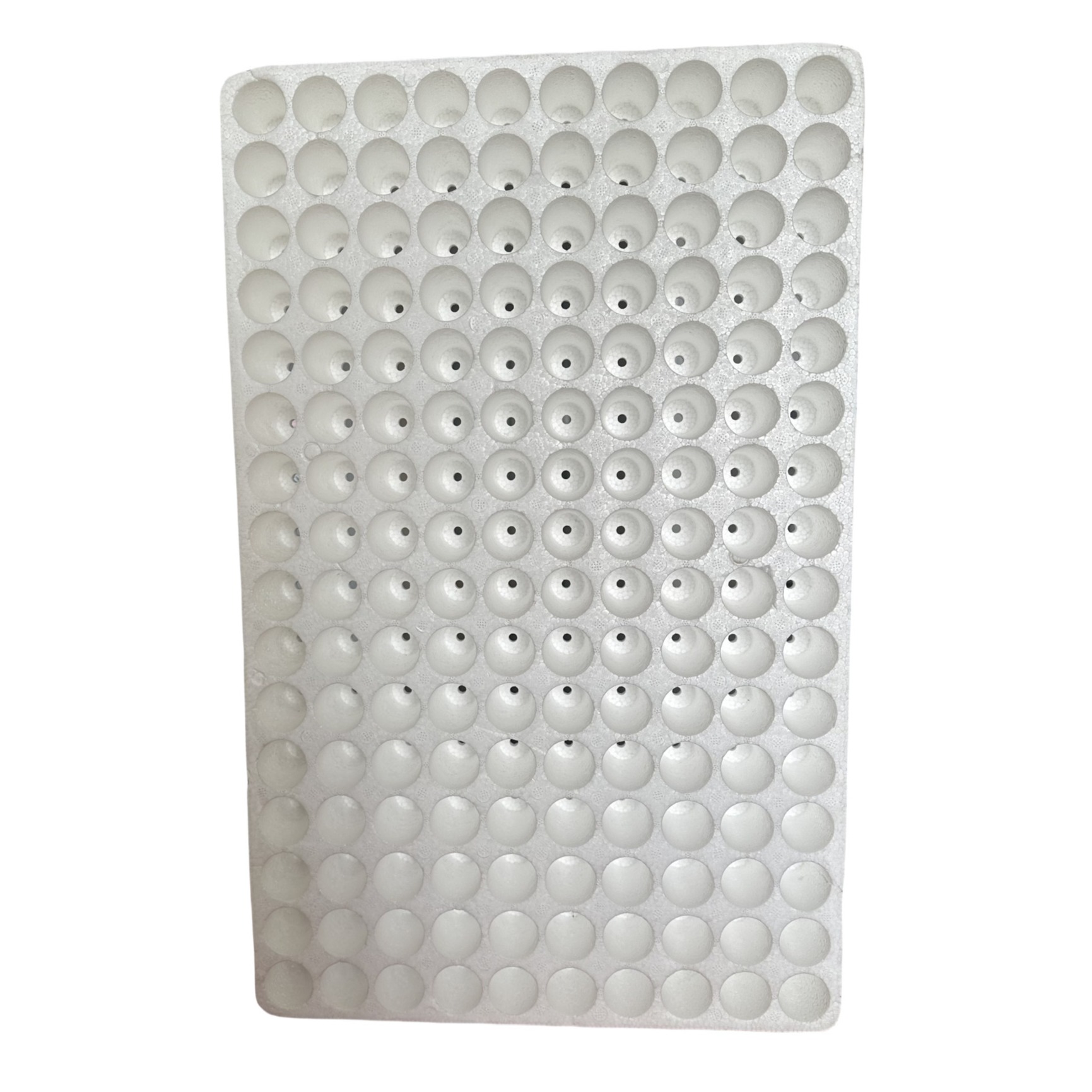 160 hole round hole foam seedling tray EPS seedling tray customization