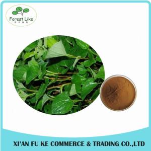 China Natural Houttuynia Cordata Extract Powder 10 : 1 wholesale