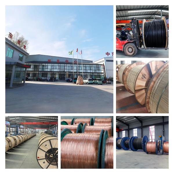 AACSR Overhead Conductor 500 kV Steel-Reinforced Bare Cable