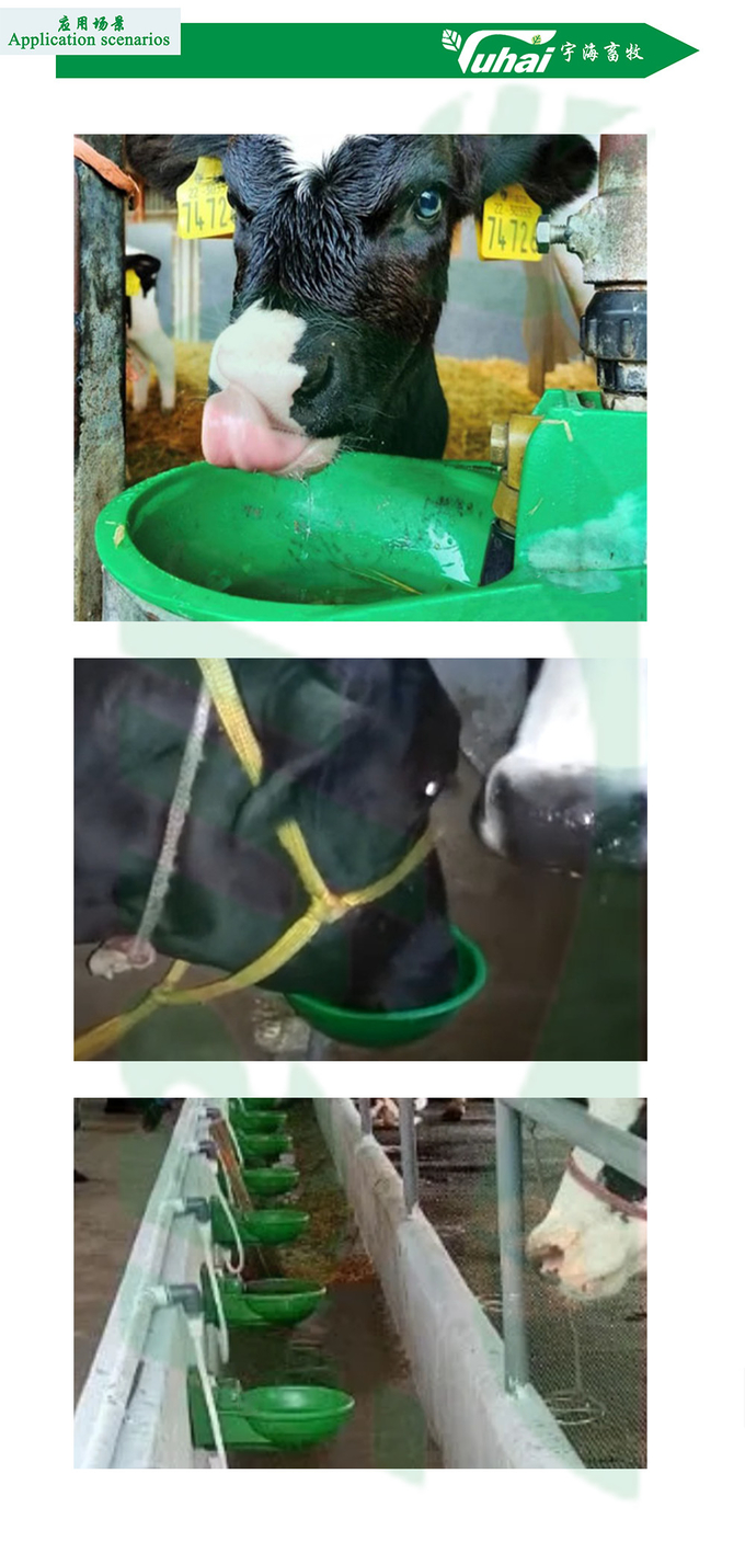 Environmental Protection 2.6l Cast Iron Cattle Water Bowl Drinking Bottle Animal Drinking Equipment