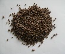 China DAP wholesale