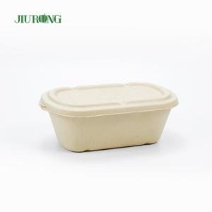 China Biodegradable Takeaway Sugarcane Food Container 650ml Greaseproof Paper wholesale