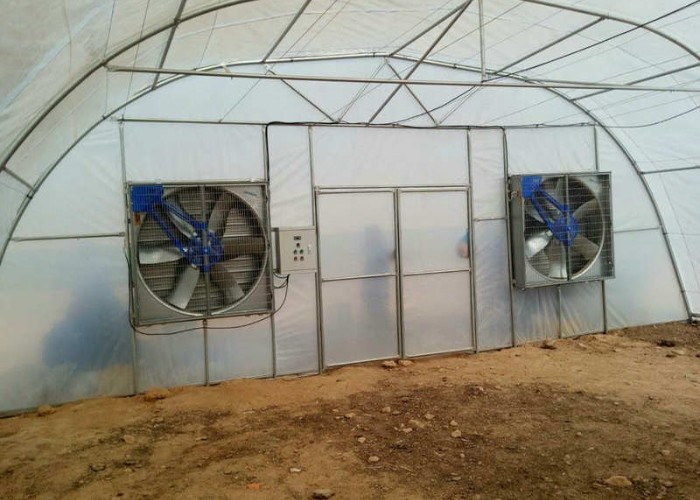 1000x1000mm Heavy Duty Exhaust Fans Agriculture Greenhouse Flower Roses 12 Inch 24 Inch