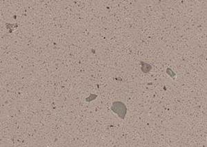 China Concrete Solid Effect Vinyl Decorative Laminate Film Roll Removable For Walls wholesale