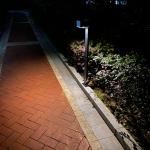 Courtyard Outdoor Solar Pathway Light 60LM Waterproof LED Landscape Lighting