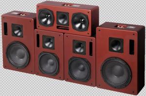 China 10 inch main channel 5.1 home theater ktv speaker system QS10 wholesale