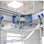 Carton packaging system for packing house