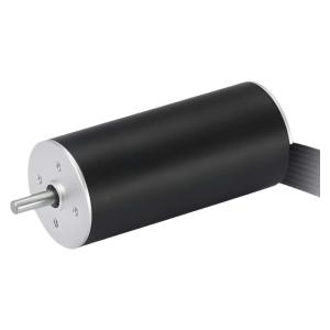 China High Speed 22mm Slotless Brushless Motor 48V Coreless BLDC Motor 22W 13641rpm wholesale