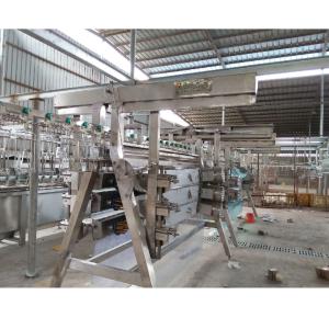 China 2000BPH Poultry Butchering Equipment SS 304 Automatic Chicken Slaughter Line wholesale