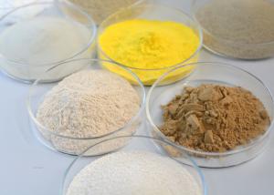 China Fungal Amylase Bakery Enzyme Powder Food Additives wholesale