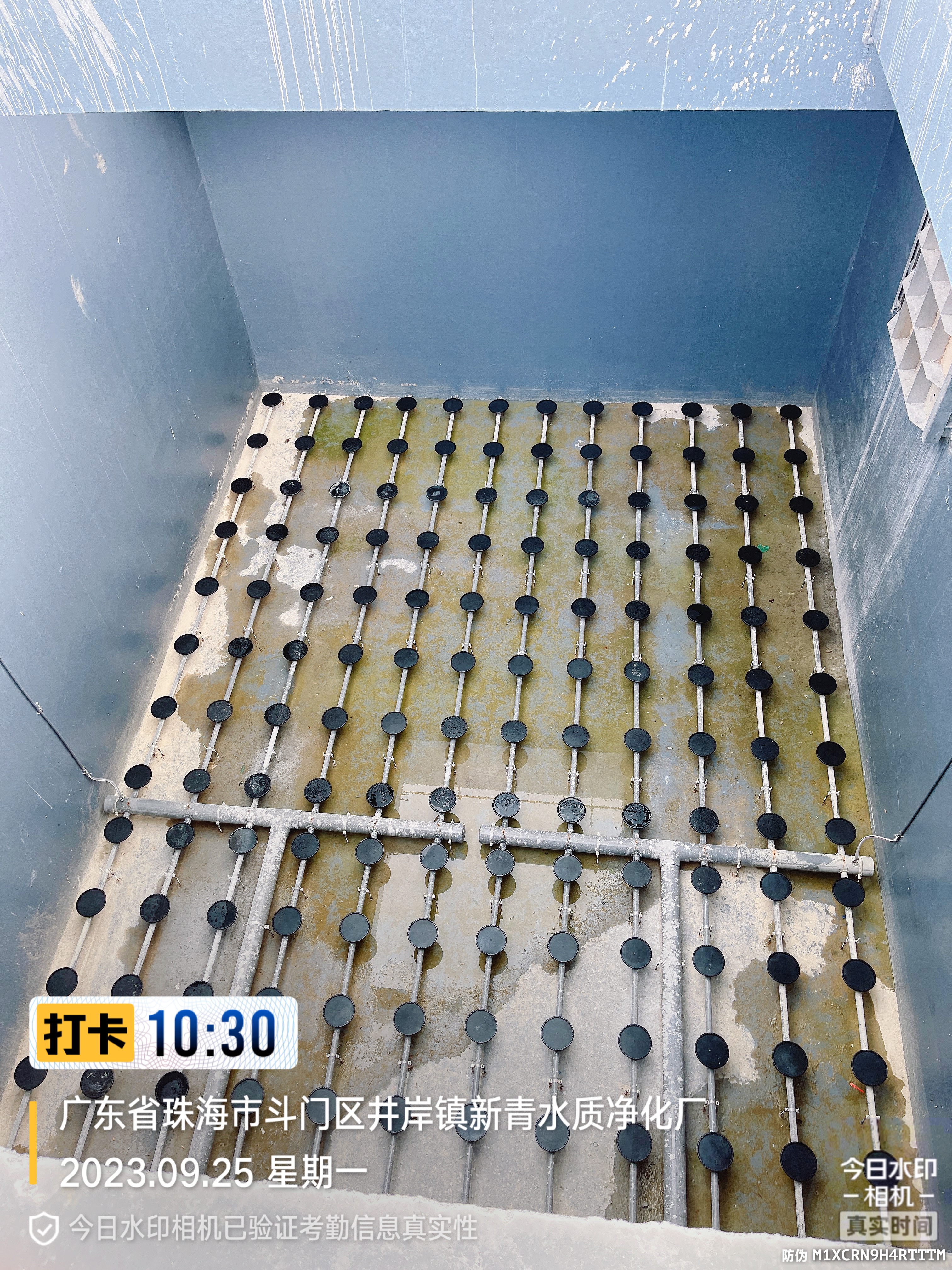1mm Or 2mm Hole Size Disc Type Diffuser and Long Service Life Guaranteed