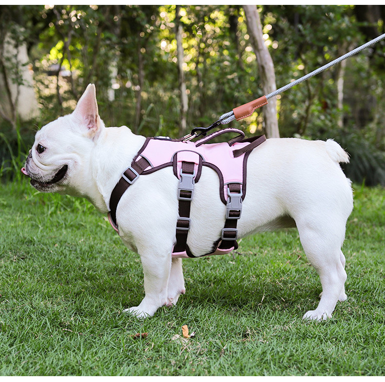 Dog harness for small and medium sized dogs, anti-breakaway dog ​​leash, reflective anti-escape leash