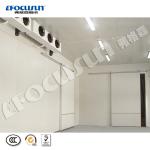 Colorbond Painted Steel Cold Room for Vegetable/Ice/Fish/Meat Storage Equipment