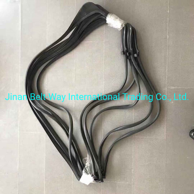 Sinotruk HOWO Truck Parts L Glass Sealing Wg1642350001 Wg1642350002s