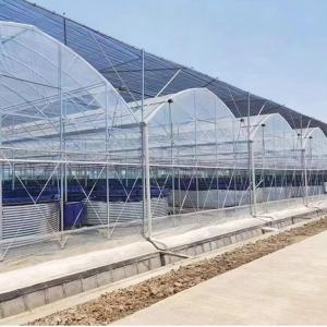 China Low Maintenance Poly Tunnel Multi-Span Greenhouse Durable Steel Components wholesale