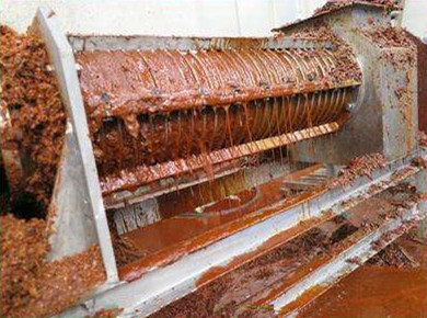 Slaughter Waste Water Treatment Screw Press Dehydrator for Bio Fertilizer Dewatering
