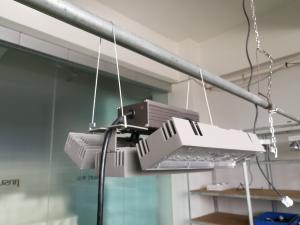 China 100W Plant light 85% energy saving led grow light VS HPS led light, green light protect environment light wholesale