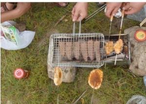 China Portable Barbecue Grill Wire Mesh , Outdoor Barbecue Grill Netting For Roast Fish wholesale