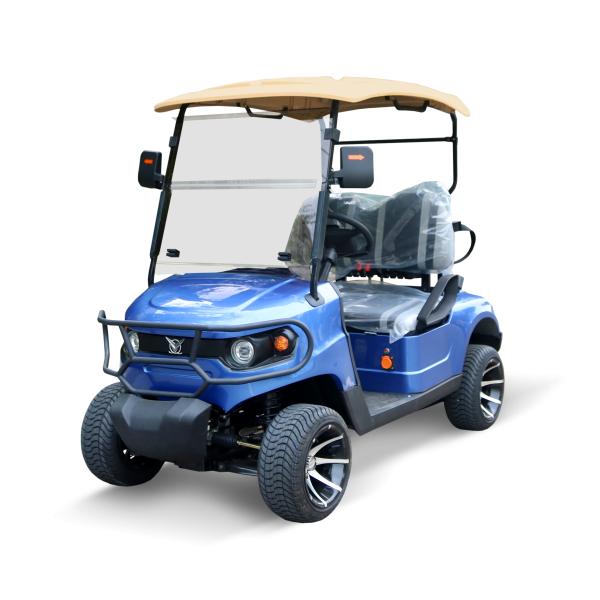 Luxury Blue 2 Seater Electric Golf Cart Lead-Acid Battery Lithium Battery Support Customized Color And LOGO