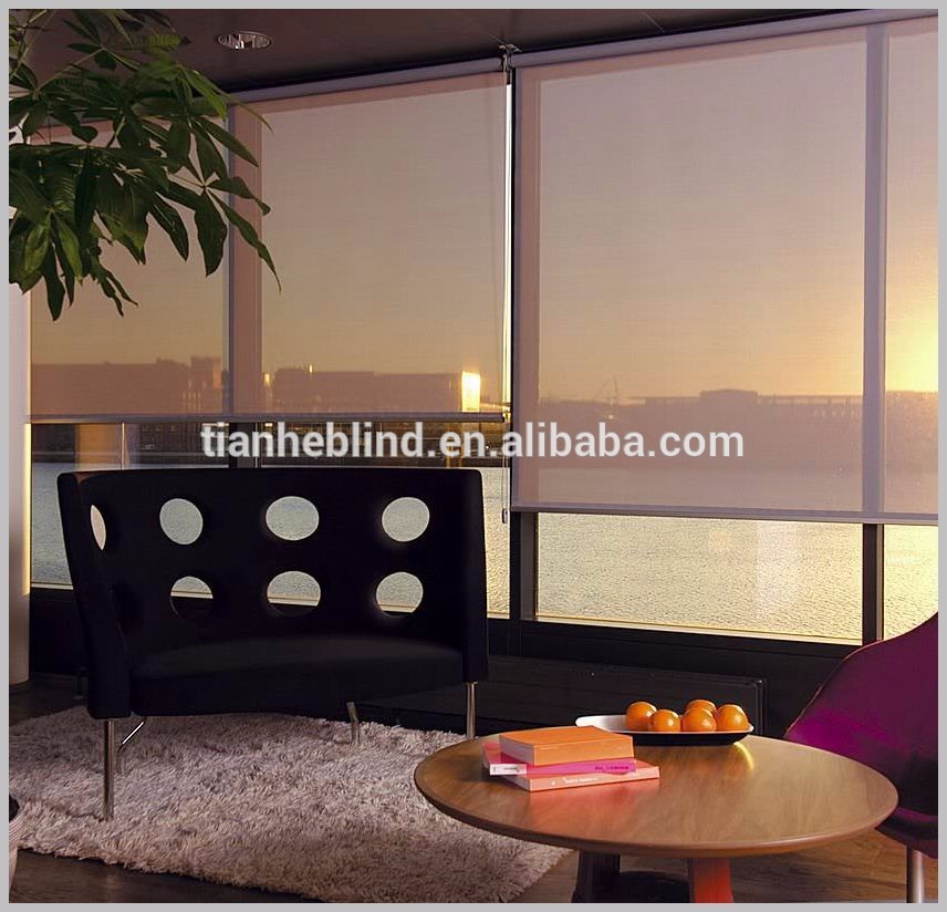 Polyester Cheap Fabric Zebra Blinds Combi Dual Blinds