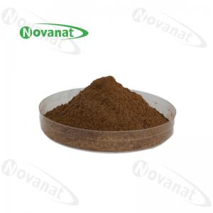 China Cordyceps Extract Polysaccharides 20%-40% / Cordyceps Sinensis Extract Cs-4 / Clean Label on sale