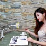 Sunflower rechargeable battery clip on desk fan