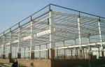 Steel Structure Storage Metal Industrial Building For Logistics