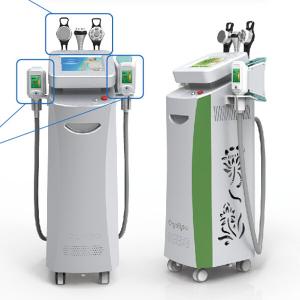 China Body shape Cryolipolysis Machine , Cryo Fat Freezing Fat Reduction Machine With Medical CE wholesale