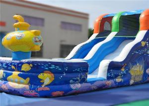China Climbing Crawling Commercial Inflatable Slide Lovely 7x3.5x5m Eye Catcher Attractive wholesale