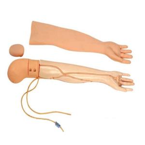 China Multifunctional PVC 4kgs Venipuncture Arm Simulator wholesale
