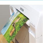 Noritsu Dry Lab High Brightness Glossy Photo Paper Roll