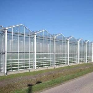 China Agricultural Transparent Venlo Type Greenhouse For Fruits Flowers wholesale