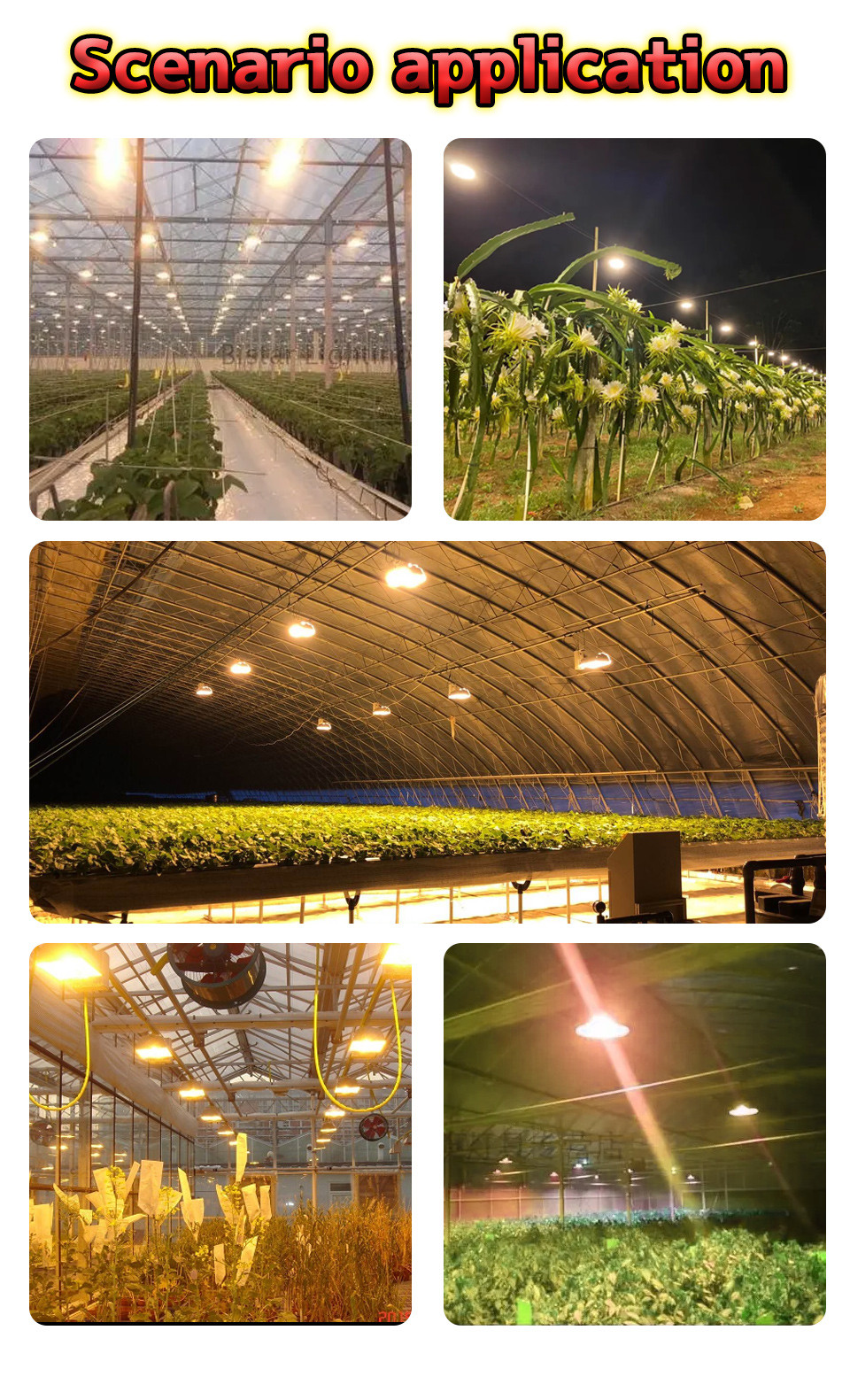 25mm Horticulture COB DOB LED Plant Growth Lamp 660nm For Indoor Greenhouse
