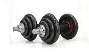 China cast iron adjustbale chromed dumbbell barbell 50kg with palstic case wholesale