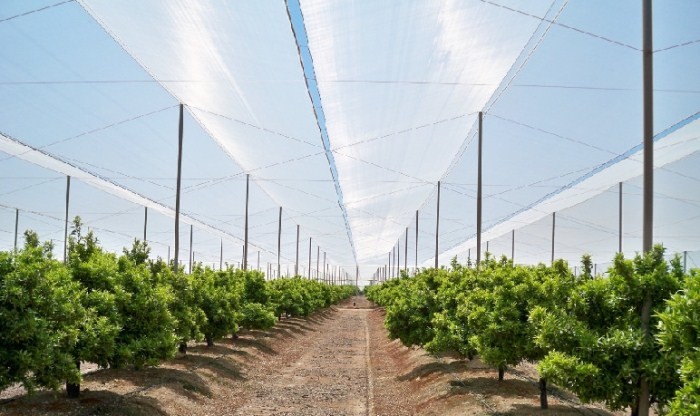 High Efficiency Insect Fly Screen Mesh / Insect Wire Mesh For Greenhouse