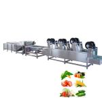 Commercial Restaurant Orange Industrial Equipment Bubble Washer Clean Line Fruit