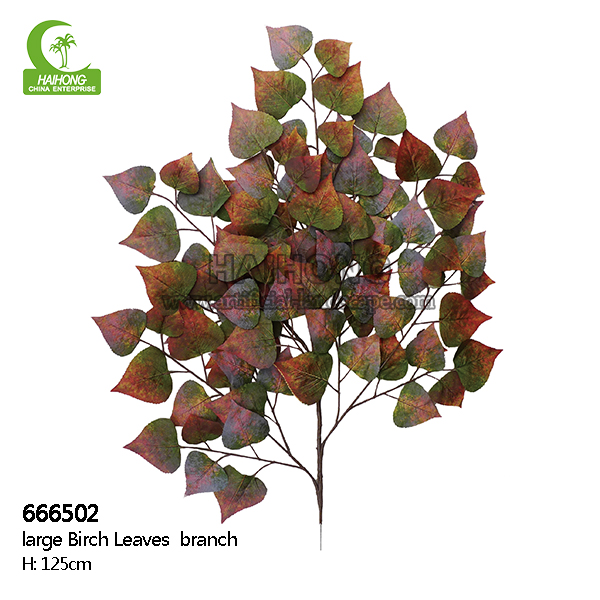 large brich leaves branch