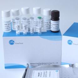 China Fsc Certified Elisa Kit Human Ifnw1 Interferon Omega-1 wholesale