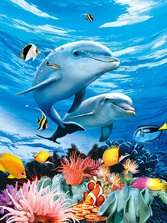 BSCI Lenticular 3D Pictures For Hotel Decoration / 3D Animals Photos