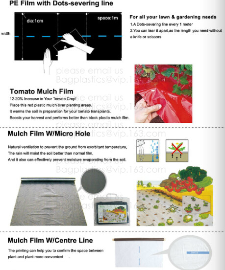 Weed Control Mulch Film, Agriculture Vegetable Black PE Films, 5 Holes Greenhouse Perforated Film