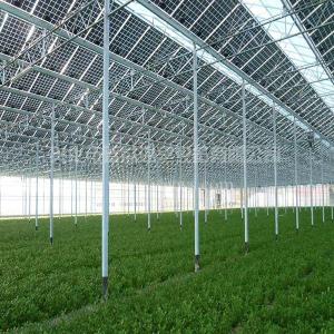 China Commercial Greenhouse Solar System Electric Power Galvanized Surface Treatment wholesale