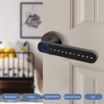 Password Fingerprint Smart Door Lock Aluminium Alloy Tuya TTLock Smartphone