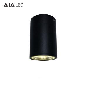 China IP65 waterproof modern circular european quality mounted 12W COB LED downlight&amp;outdoor LED down lamp wholesale