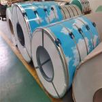 Dx51d 0.4*1219 Z60g Prime Galvanized Steel Coil , PPGI Steel Sheet For Building