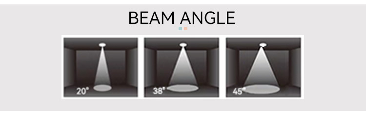 Ocean 6W LED Track Light 600lm Black Track Lighting Switchable CCT