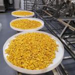 OEM ODM Industrial Microwave Vacuum Dryer Avocado Tropical Fruit Drying Oven